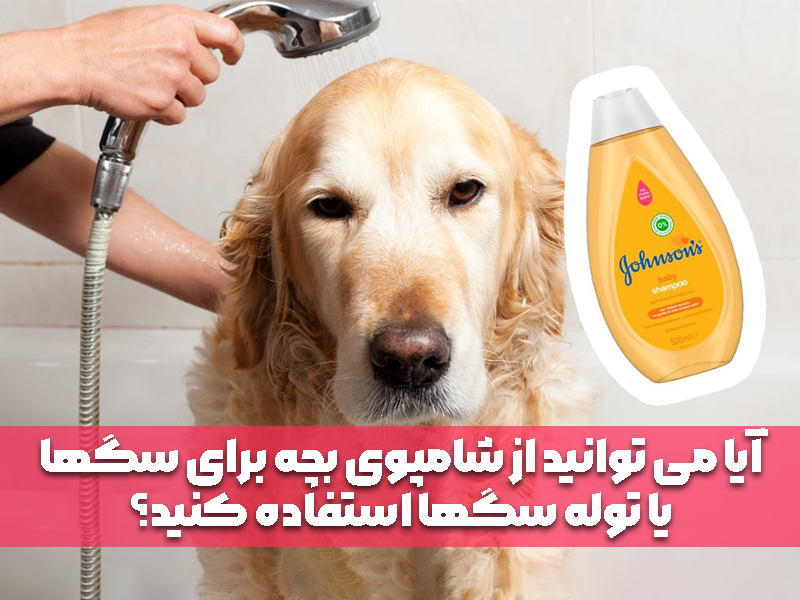 آیا می توانید از شامپوی بچه برای سگها یا توله سگها استفاده کنید؟